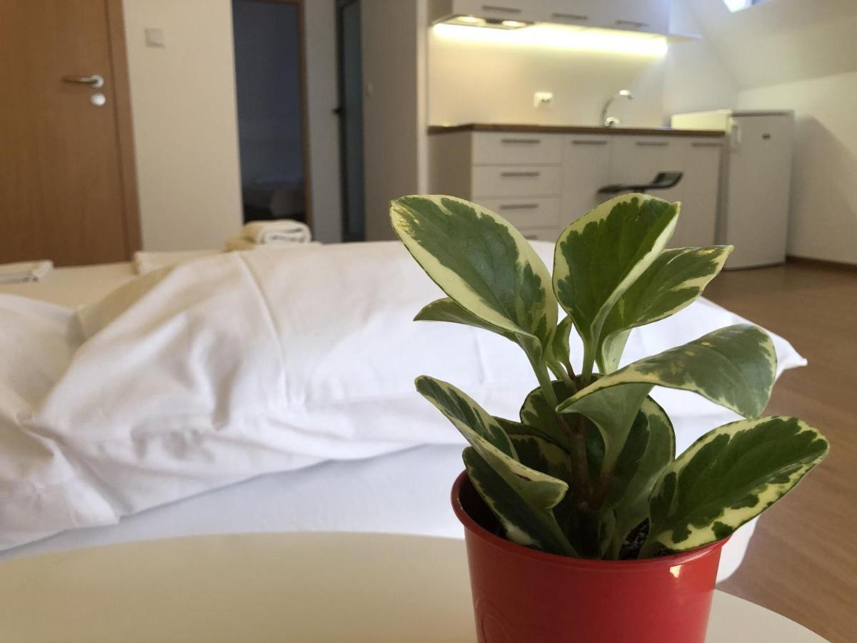 Aparthotel Elly Πομόριε Εξωτερικό φωτογραφία